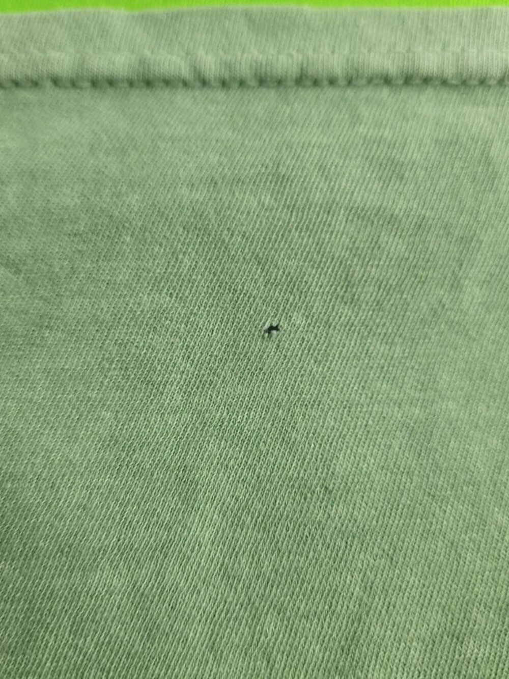 Peanuts Snoopy Woodstock camping golf t-shirt - Picture 6 of 6